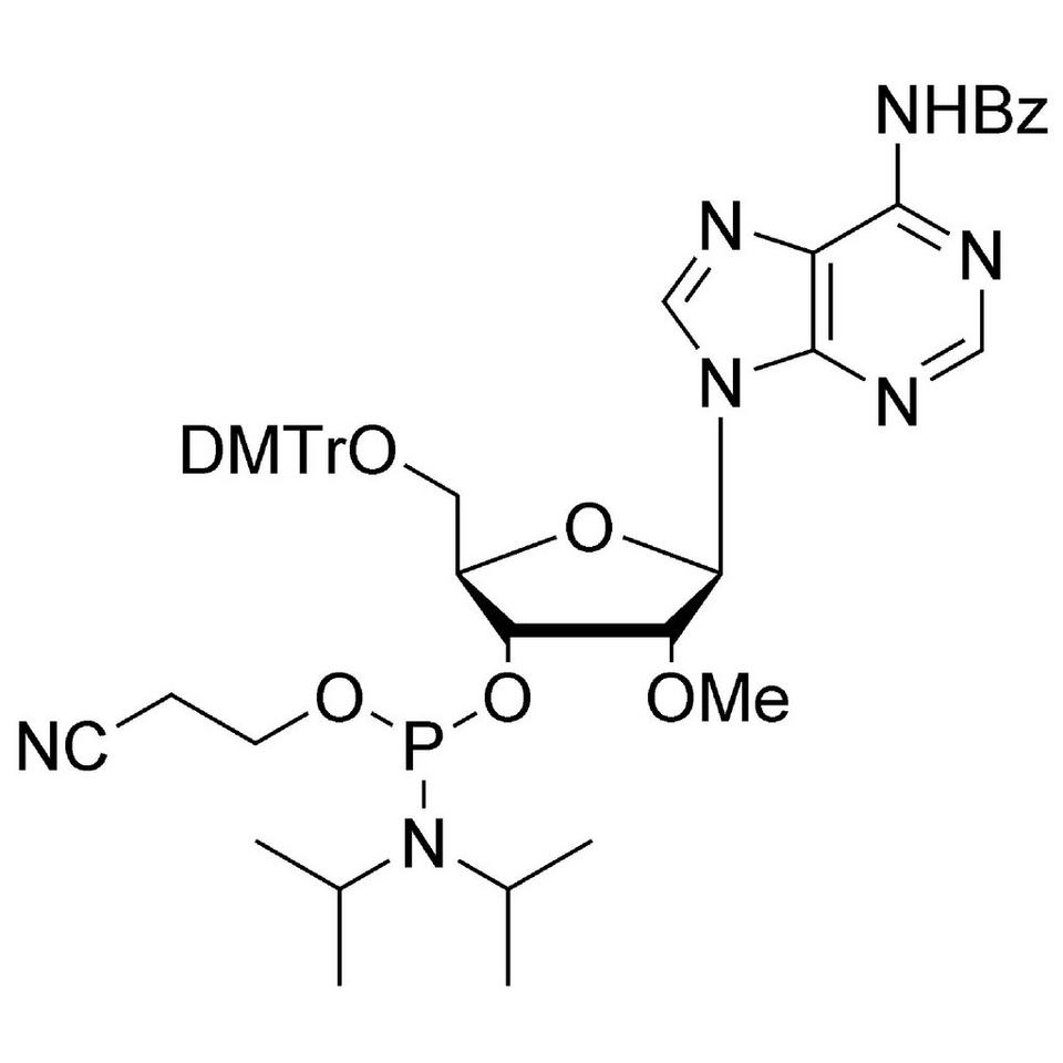2'-OMe-A (Bz) CE-Phosphoramidite